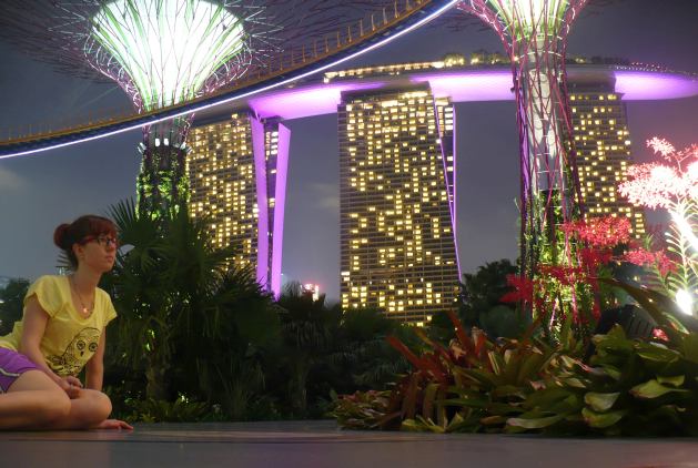 Gardens by the Bay in the night