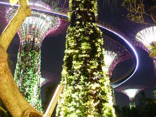 Gardens by the Bay in the night