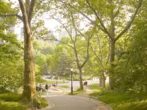 Central Park