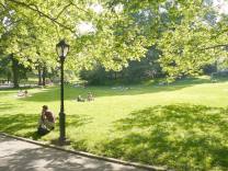 Central Park